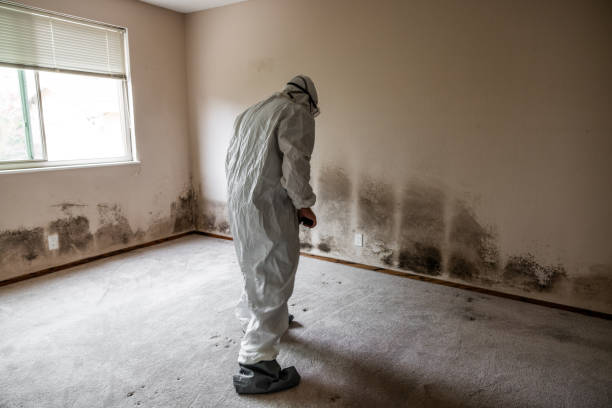 Best Industrial Mold Remediation in Roberta, GA